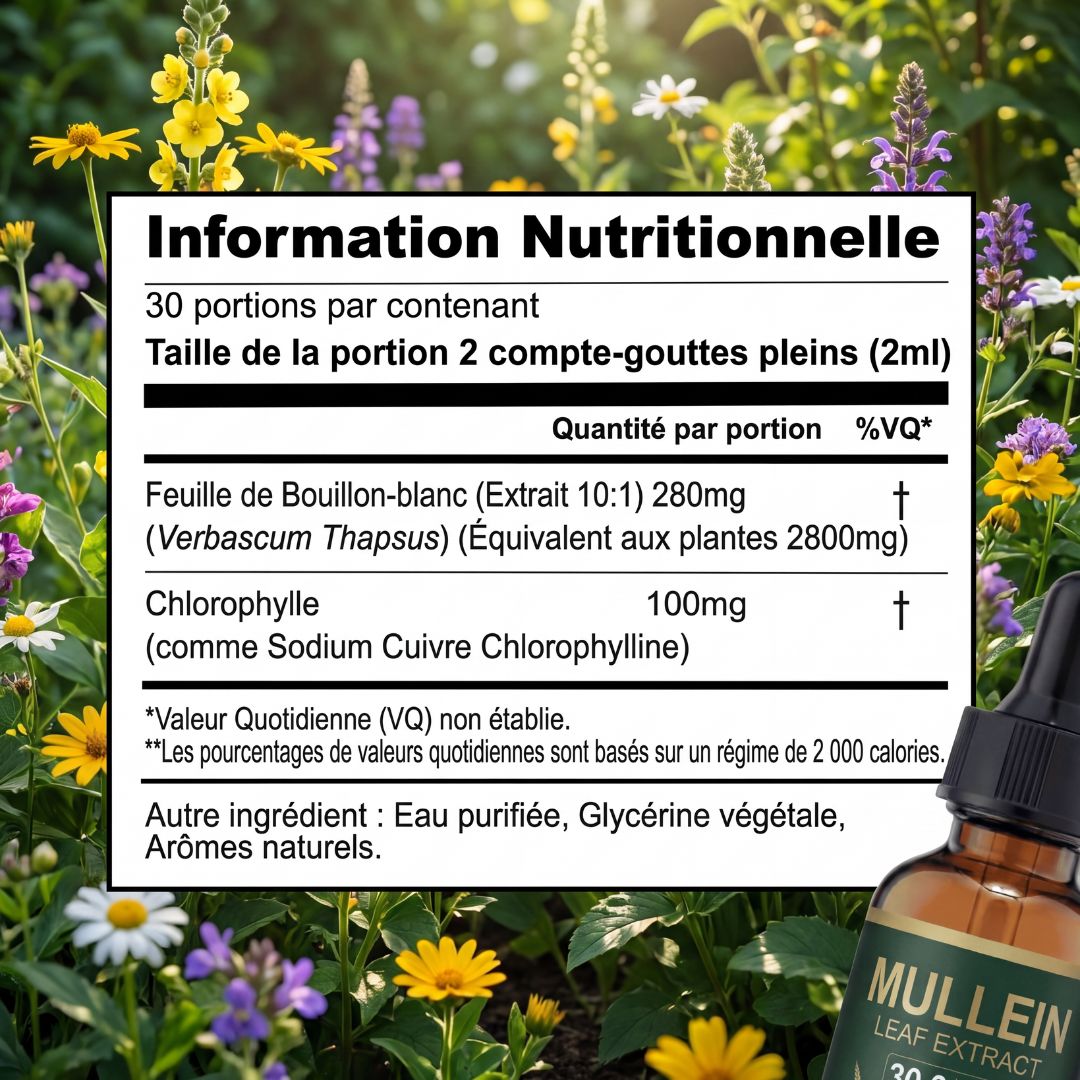 Floryne - Retrouve ton Souffle
