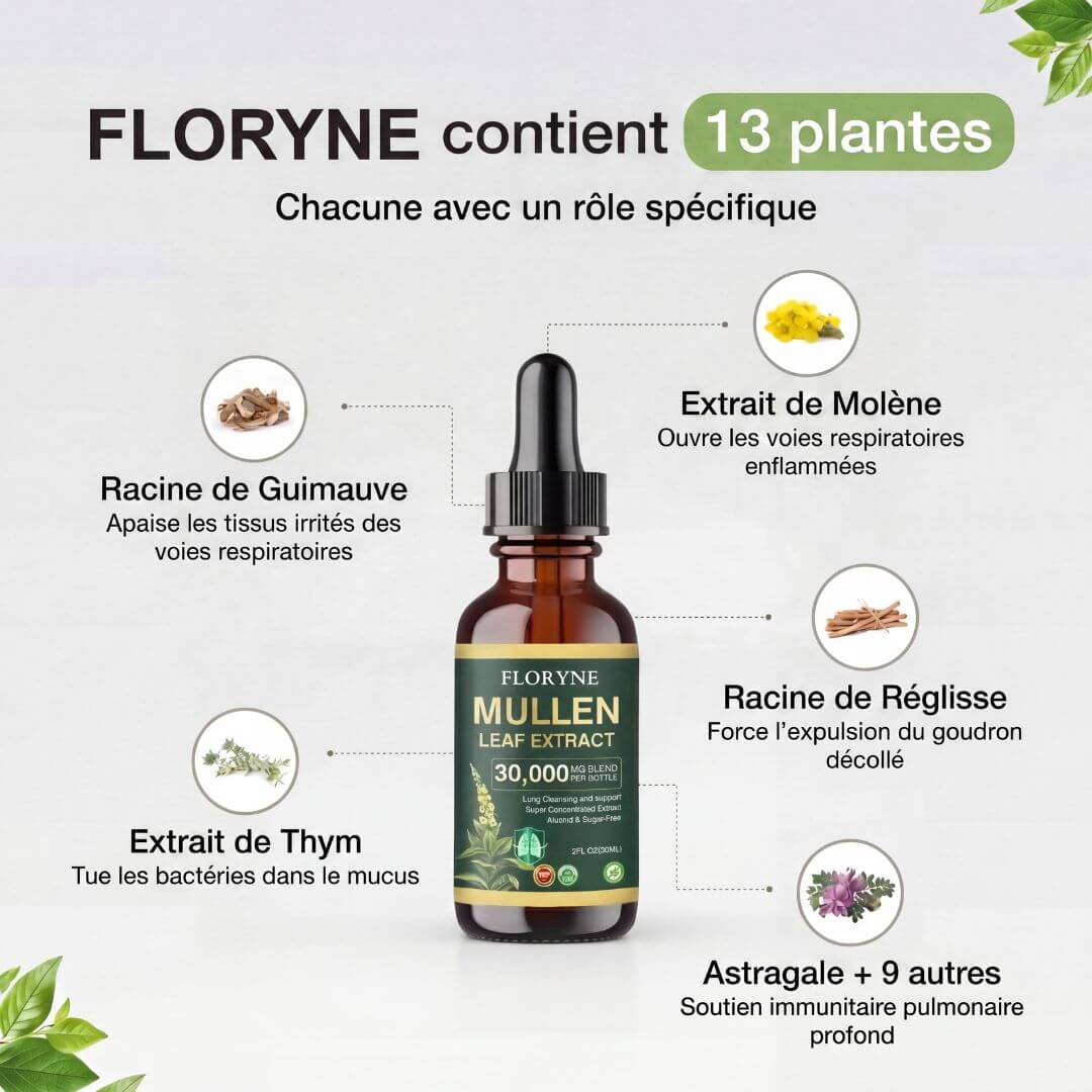 Floryne - Retrouve ton Souffle