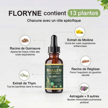 Floryne - Retrouve ton Souffle
