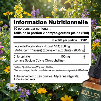Floryne - Retrouve ton Souffle